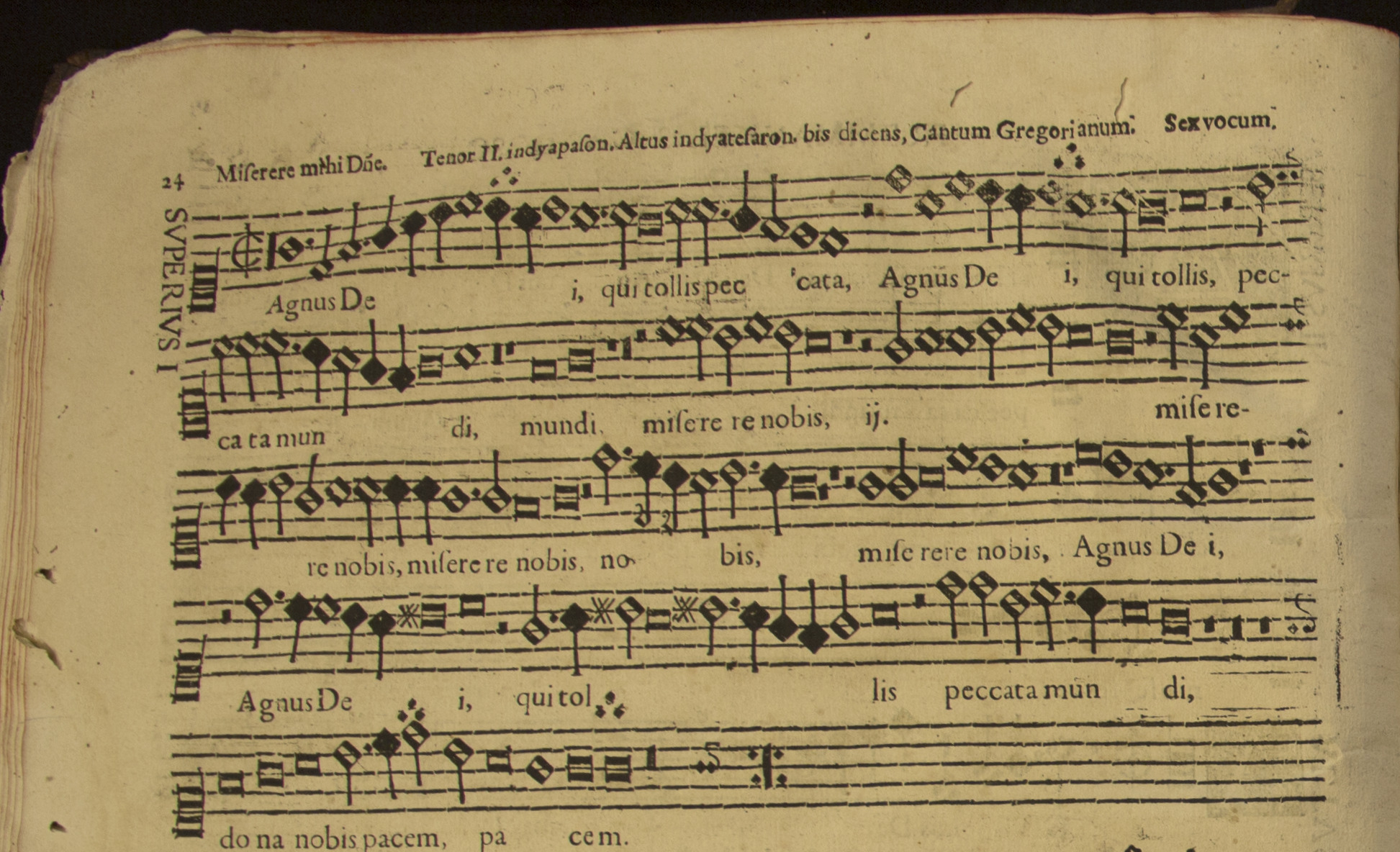 Superius I del segundo Agnus Dei de la misa Miserere mihi Domine a seis voces del Missae Quaternis quinis et sex vocibus Liber Primus de fray Manuel Cardoso. Lisboa, 1625